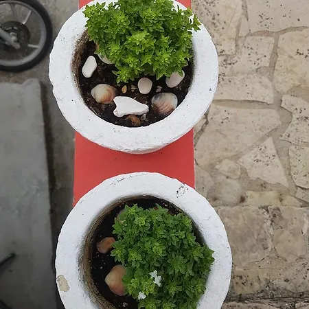 Spiros Family Apts Appartement